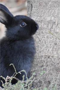 Bunny Notebook