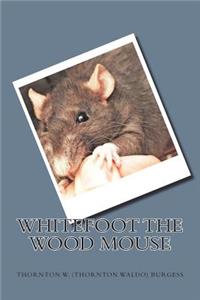 Whitefoot the Wood Mouse