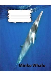 Minke Whale College Ruled Line Paper Composition Book