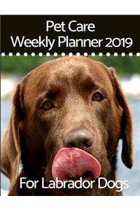 Pet Care Weekly Planner 2019 for Labrador Dogs