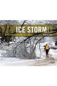 Ice Storm, Ontario 2013