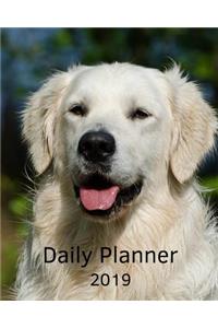 Planner 2019: Golden Retriever