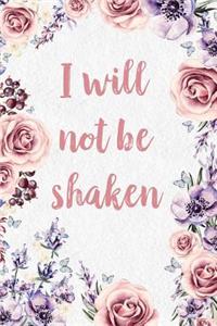 I Will Not Be Shaken