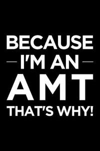 Because I'm an Amt That's Why