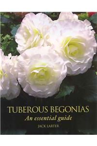 Tuberous Begonias