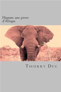 Hapoor, une pierre d'Afrique