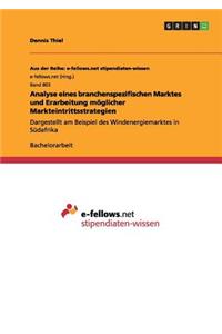 Analyse eines branchenspezifischen Marktes und Erarbeitung möglicher Markteintrittsstrategien