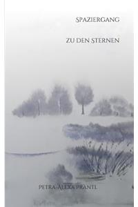 Spaziergang zu den Sternen