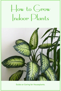 How to Grow Indoor Plants