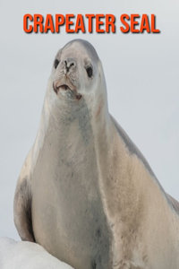Crapeater Seal
