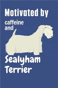 Motivated by caffeine and Sealyham Terrier