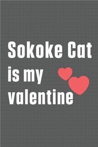 Sokoke Cat is my valentine