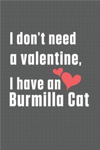 I don't need a valentine, I have a Burmilla Cat