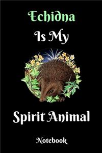 Echidna Is My Spirit Animal