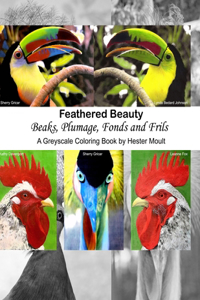 Feathered Beauty - Beaks, Plumage, Fonds and Frils