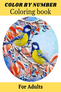 Color By Number Coloring Book For Adults