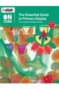 Essential Guide to Primary Display