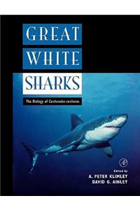 Great White Sharks