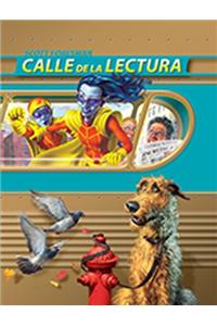 Reading 2011 Spanish Student Edition (Hc) Grade 6.2