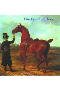 The Essential Horse