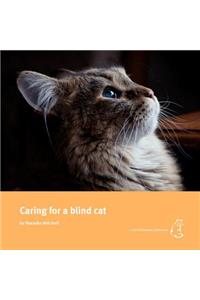 Caring for a Blind Cat