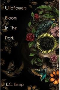Wildflowers Bloom In The Dark