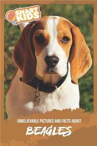 Unbelievable Pictures and Facts About Beagles