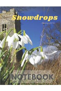 Snowdrops Notebook