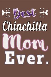 Best Chinchilla Mom Ever.