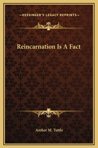 Reincarnation Is A Fact