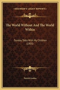 The World Without And The World Within