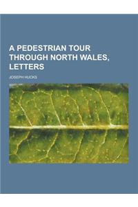 A Pedestrian Tour Through North Wales, Letters