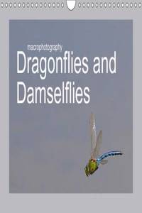 Macrophotography Dragonflies and Damselflies 2017