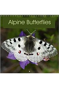 Alpine Butterflies 2018