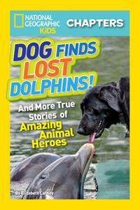 Dog Finds Lost Dolphins!