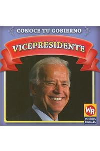 Vicepresidente (Vice President)