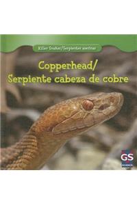 Copperhead/Serpiente Cabeza de Cobre