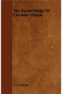 The Bacteriology of Cheddar Cheese
