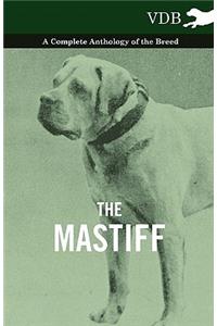 The Mastiff - A Complete Anthology of the Breed