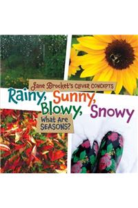 Rainy, Sunny, Blowy, Snowy