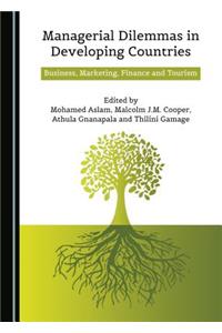 Managerial Dilemmas in Developing Countries: Business, Marketing, Finance and Tourism
