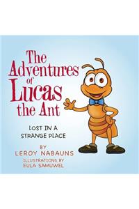 The Adventures of Lucas the Ant