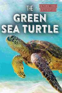 Green Sea Turtle