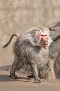 Baboon Monkey Journal
