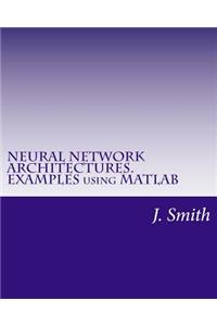 Neural Network Architectures. Examples Using MATLAB