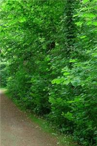 Walking Down the Forest Path Notebook
