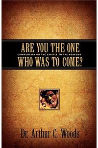 Are You the One Who Was To Come?