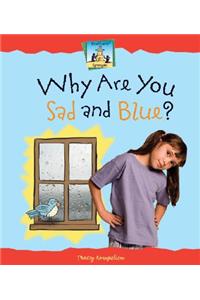 Why Are You Sad and Blue?