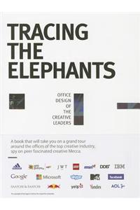 Tracing The Elephants