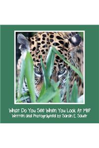 What Do You See When You Look at Me?